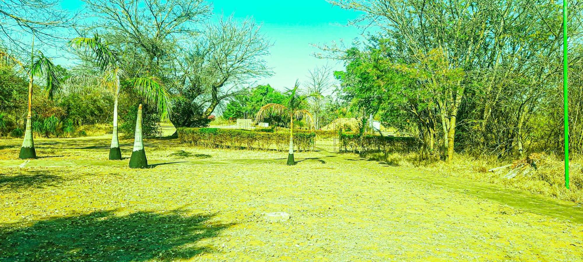 Alojamento de Turismo Selvagem Copacopa And Conference Centre Punda Maria